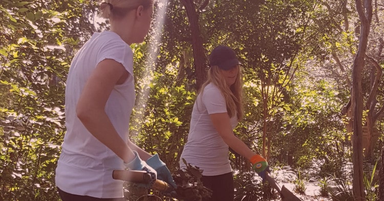 AlertMedia team gardening in Zilker Park, Austin, Texas