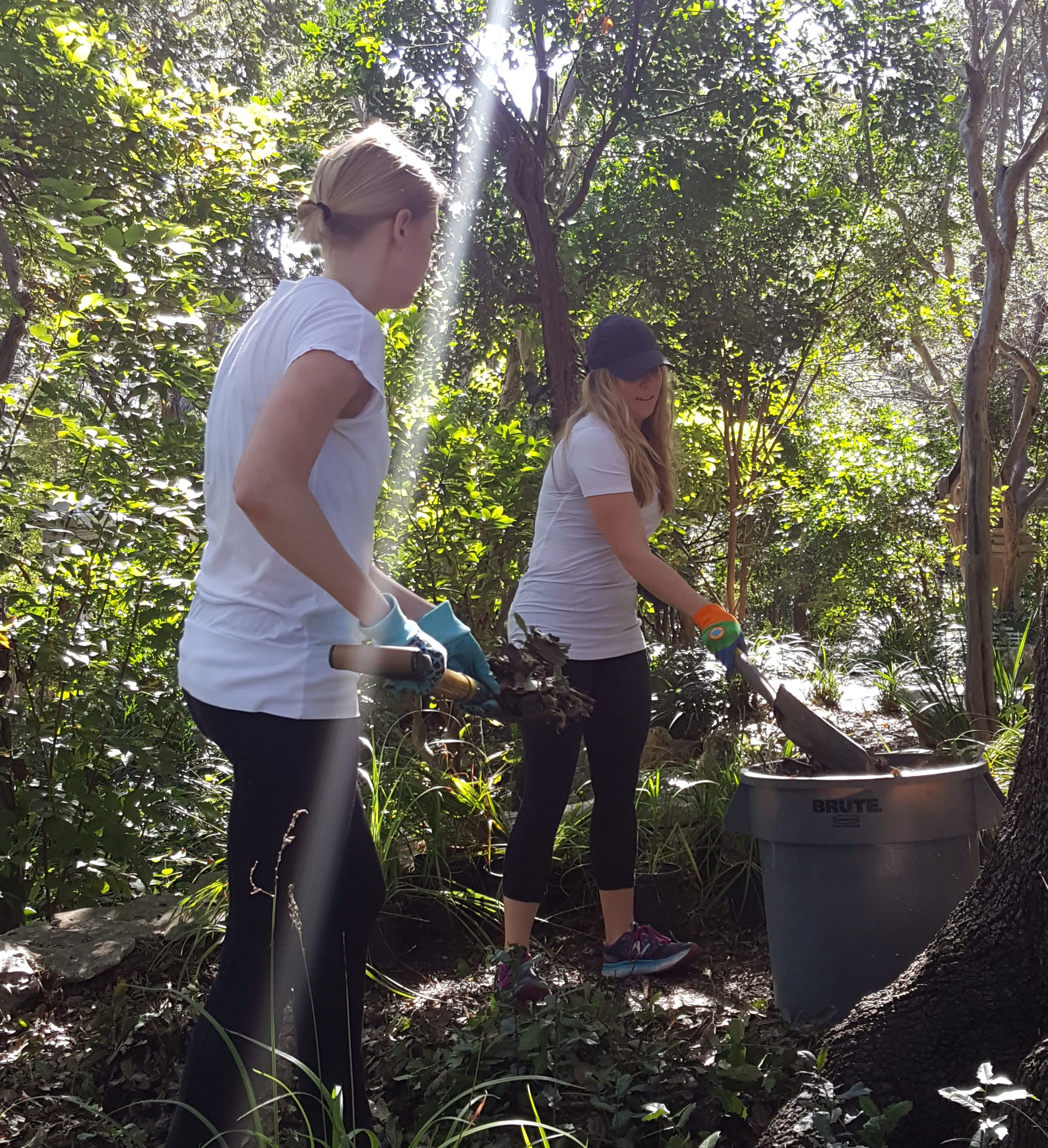 Employee Communications Provider Volunteering in Austin
