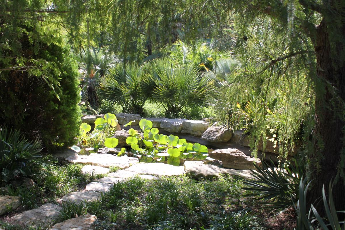 Park Cleaned up by Emergency Communications Provider