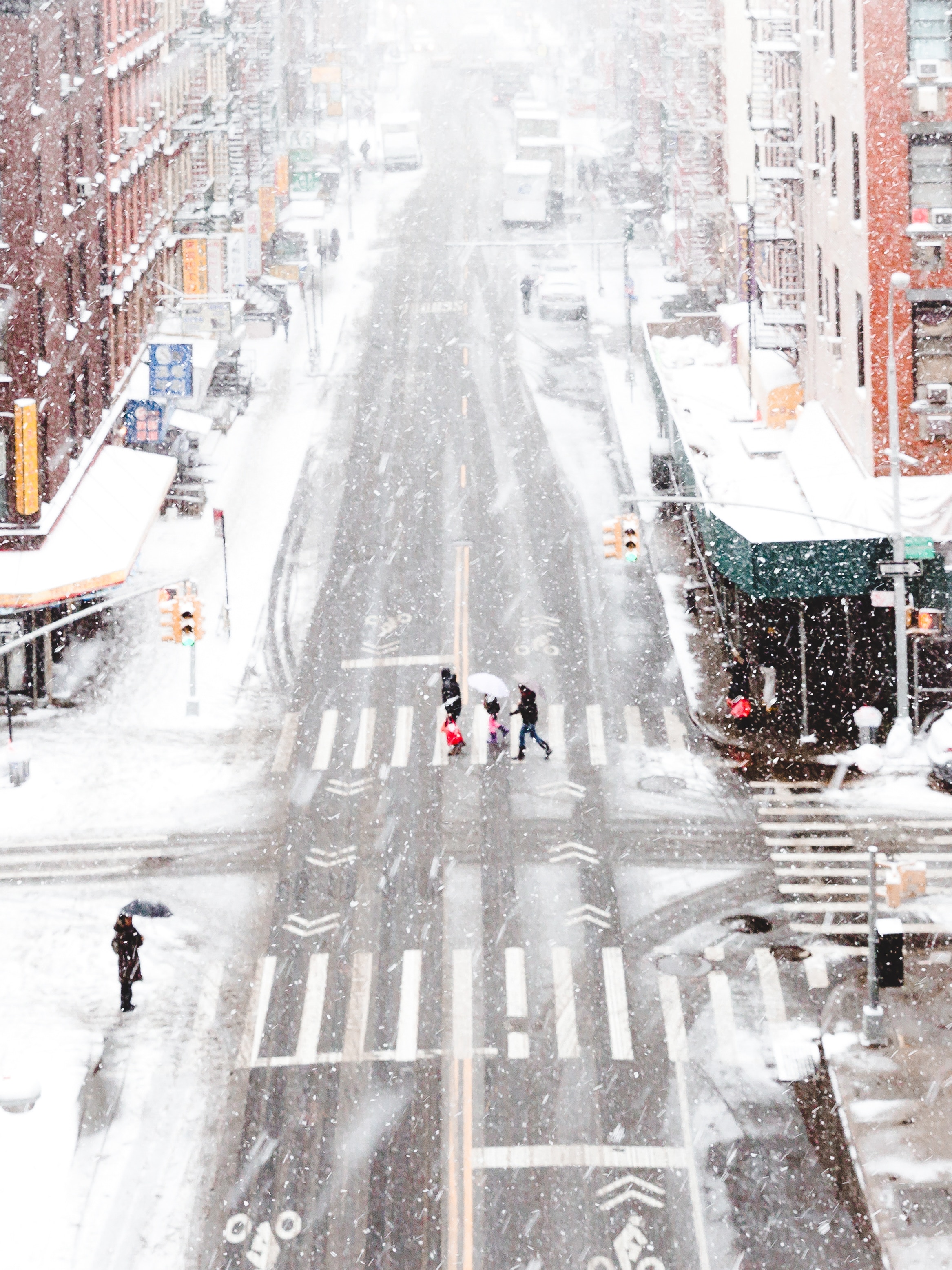 winter safety software