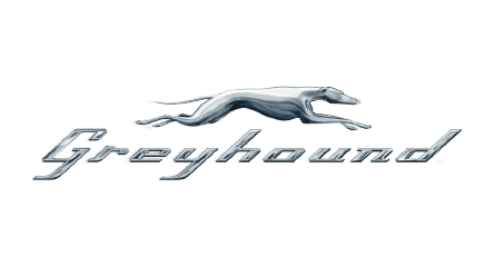 Greyhound