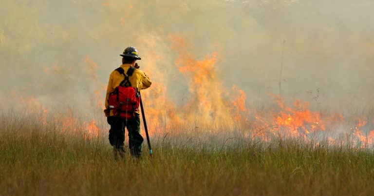 Firefighter assessing wildfire impact