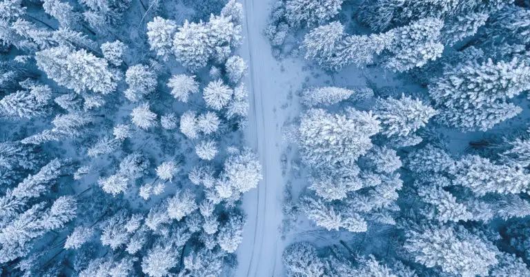 Picture of snow-covered road