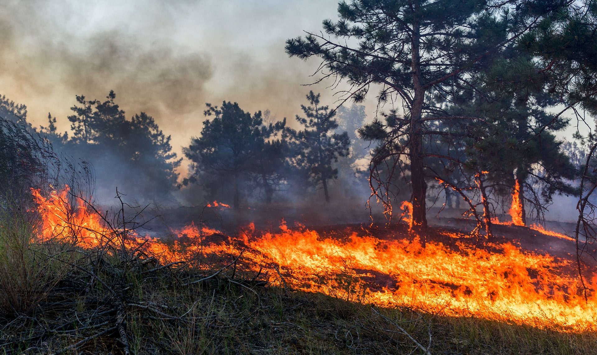 The 3 Stages of Wildfire Preparedness