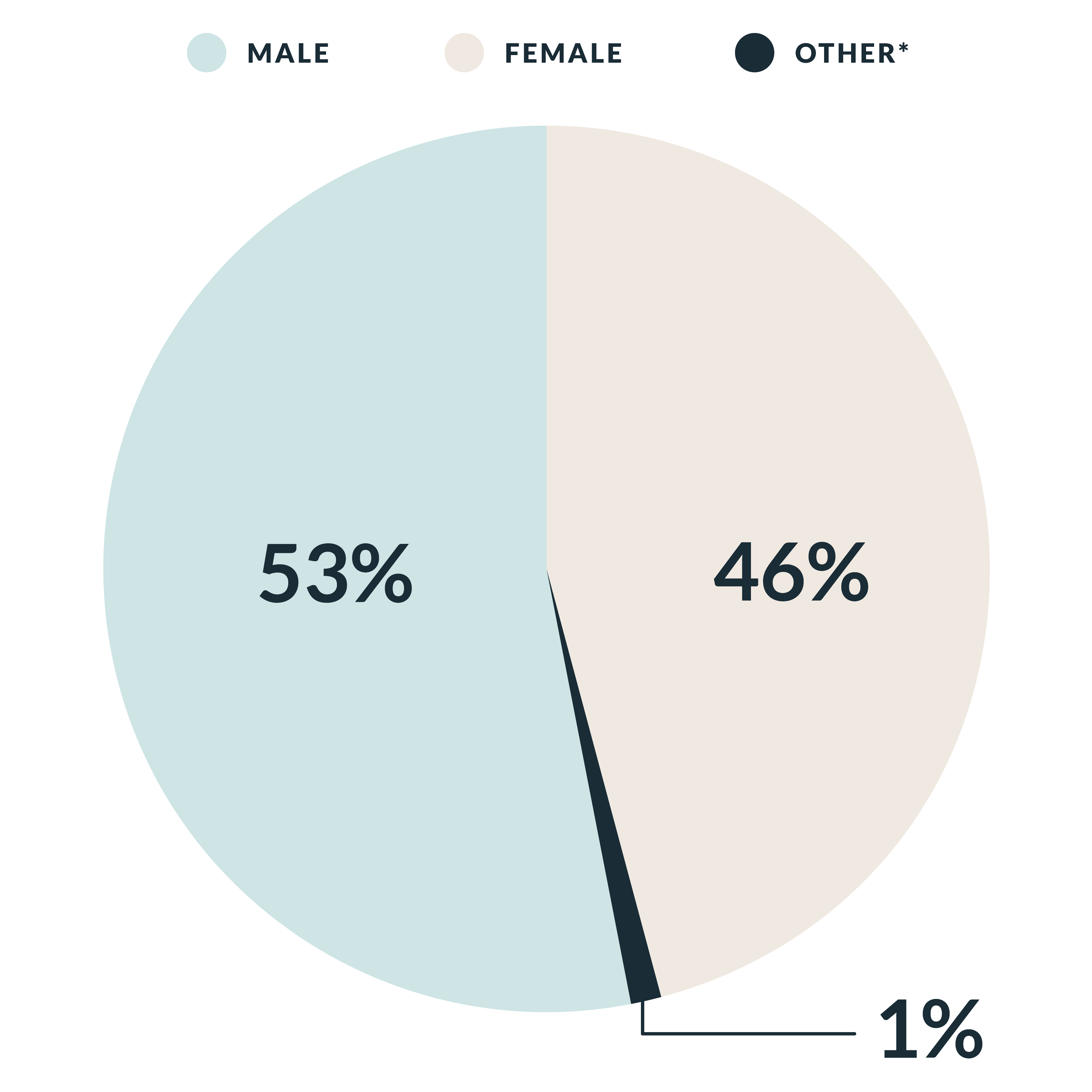 AlertMedia_DiversityAndInclusion_CompanyDemographics_GenderIdentity