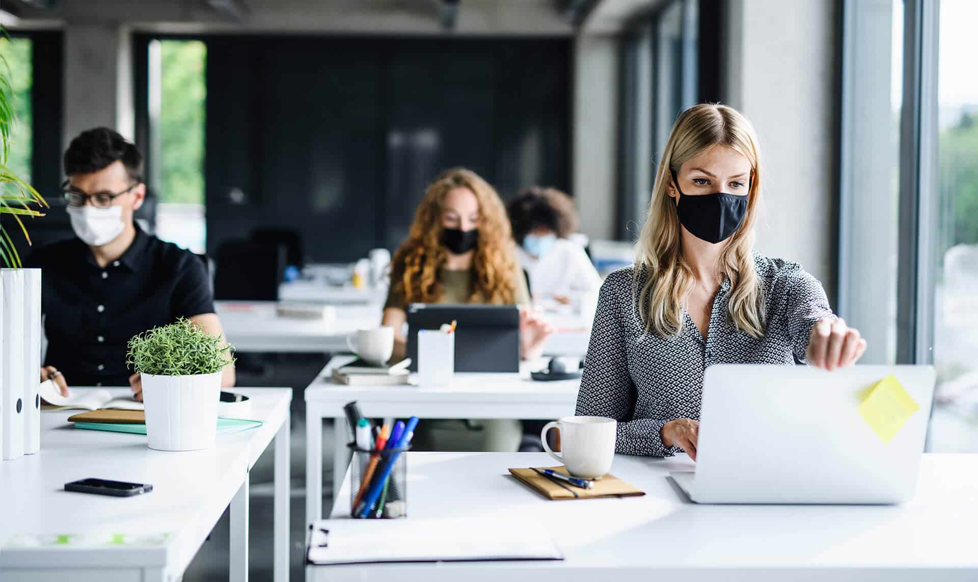 employees working at desks wearing face masks