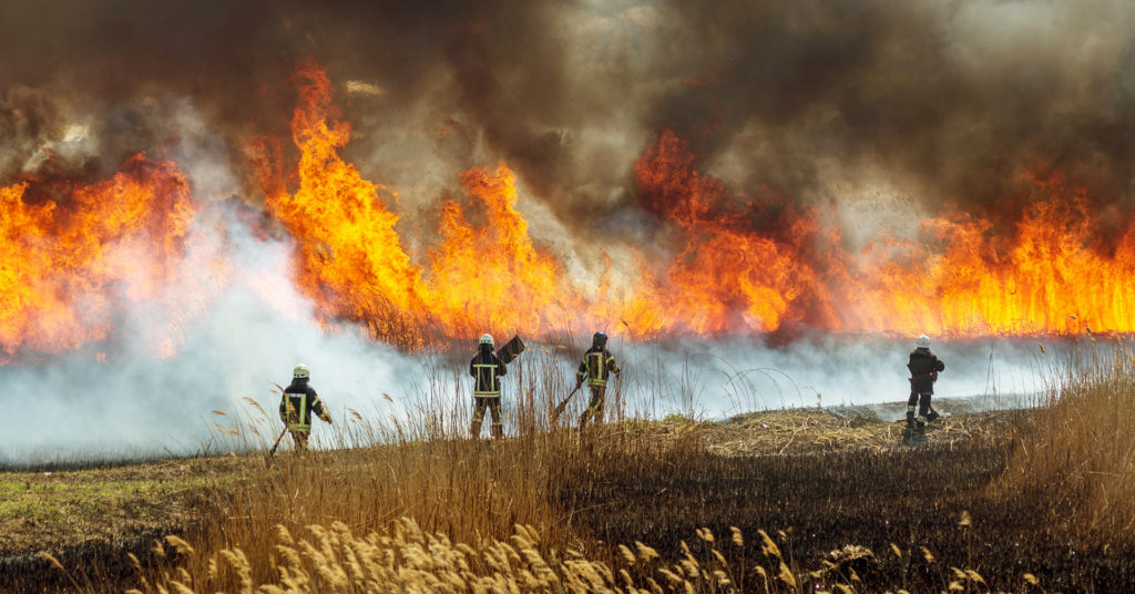 Lifesaving Lessons From a Wildfire Study: Q&A With Alexander Maranghides of NIST