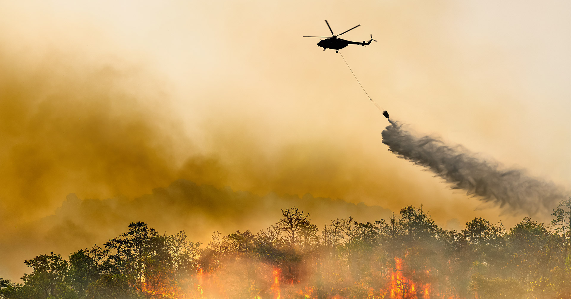 Optimize Wildfire Communications for 2024