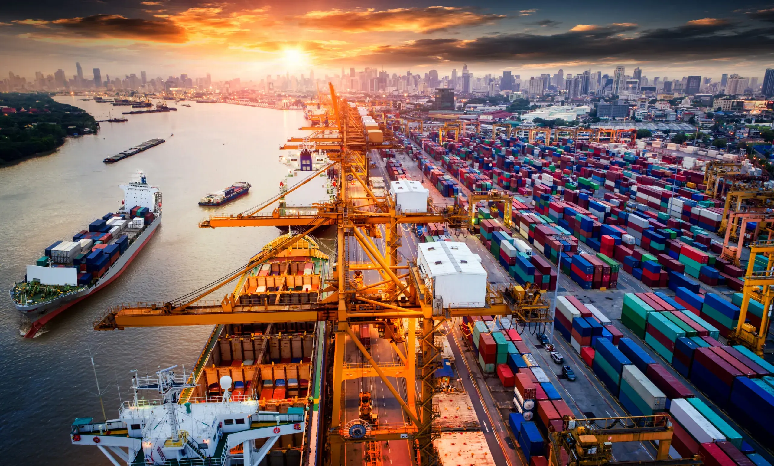 Building Supply Chain Resilience With Strong but Flexible Links